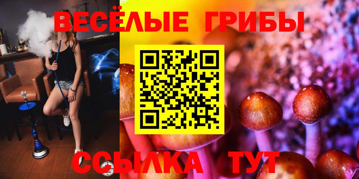 Анапа  сколько стоит  Вход с VPN  Псилоцибиновые грибы ЛСД 